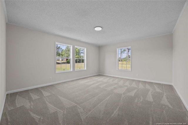 1271 Nutgrass Rd, Bunnlevel, NC 28323 - carpeted empty room featuring plenty of natural light and a textured ceiling