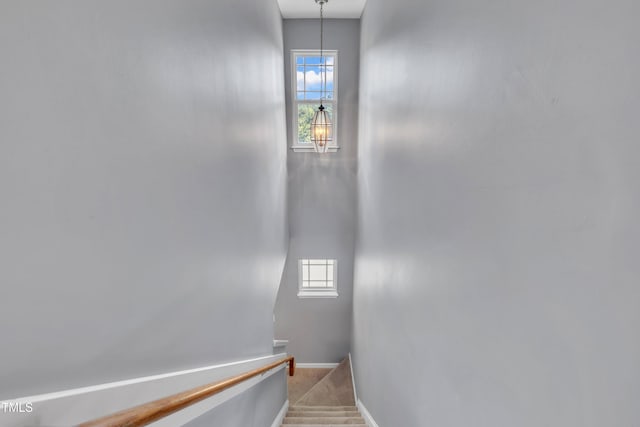 2714 Magnolia Tree Ln, Durham, NC 27703 - stairs featuring healthy amount of natural light and carpet flooring