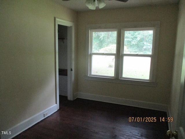 166 N NC-11 And 903 Highway, Kenansville, NC 28349 - photo 7