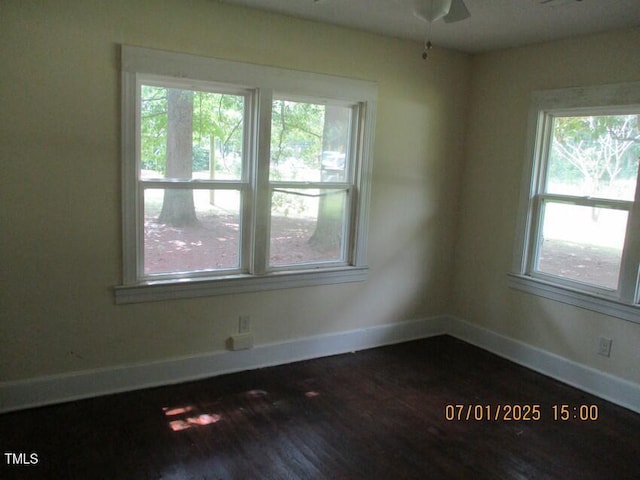 166 N NC-11 And 903 Highway, Kenansville, NC 28349 - photo 9