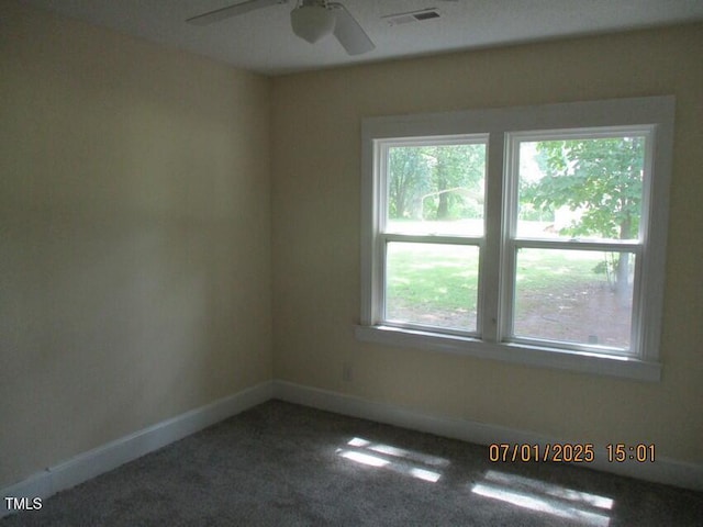 166 N NC-11 And 903 Highway, Kenansville, NC 28349 - photo 10