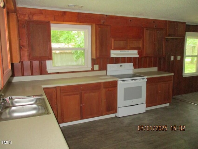 166 N NC-11 And 903 Highway, Kenansville, NC 28349 - photo 13