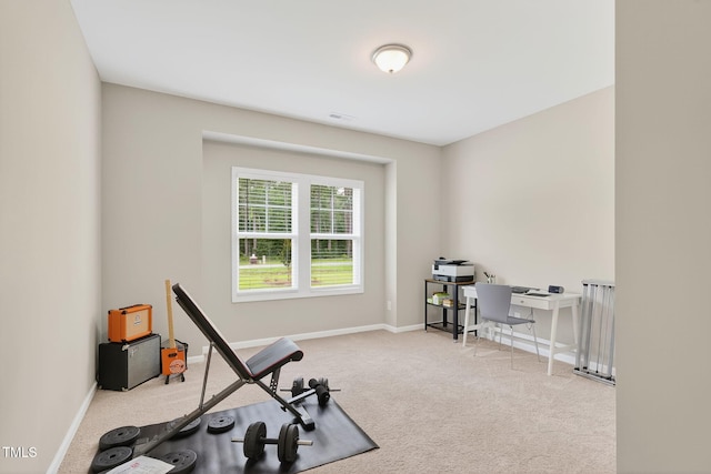 611 Laurel Lake Rd, Salemburg, NC 28385 - workout room featuring carpet flooring