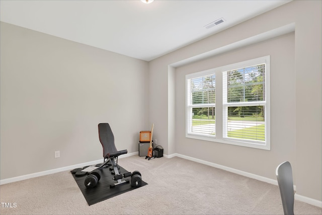 611 Laurel Lake Rd, Salemburg, NC 28385 - workout room featuring carpet
