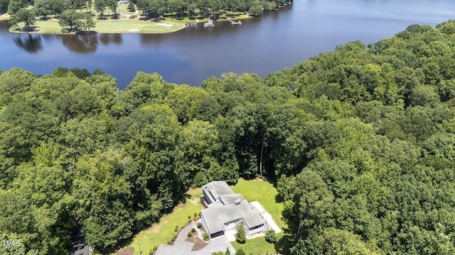 1117 Falling Strm, Sanford, NC 27332 - photo 43