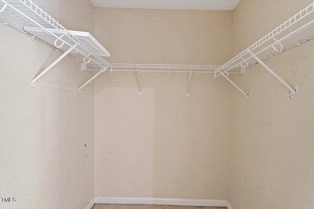4221 Tensity Dr, Raleigh, NC 27604 - photo 20