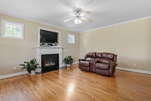857 Ruth Cir, Fuquay Varina, NC 27526 - photo 10