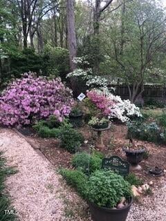 1312 Hampton Valley Rd, Cary, NC 27511 - view of yard