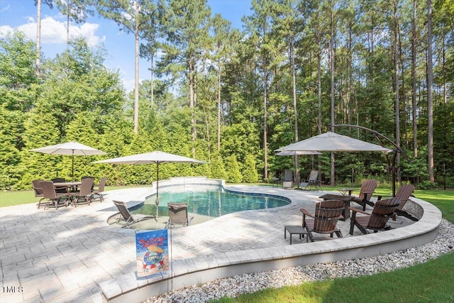 1203 Smith Creek Way, Wake Forest, NC 27587 - outdoor pool with a patio and a wooded view