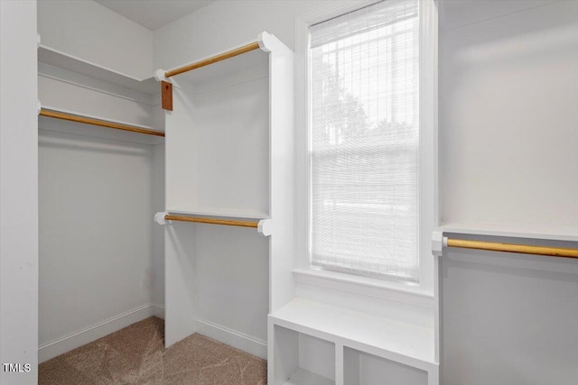 1203 Smith Creek Way, Wake Forest, NC 27587 - walk in closet with carpet flooring