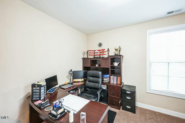 3005 Domaine Dr, Wake Forest, NC 27587 - photo 34