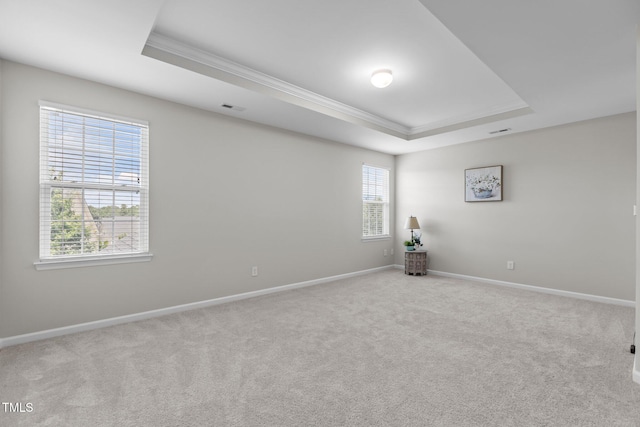 316 Hilliard Forest Dr, Cary, NC 27519 - spare room featuring ornamental molding, a raised ceiling, and carpet