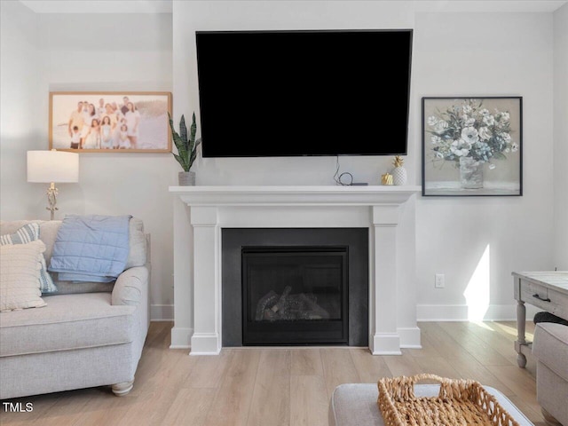 820 Whistable Ave, Wake Forest, NC 27587 - living area featuring wood finished floors and a glass covered fireplace