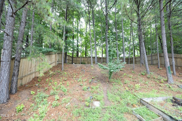 2027 Buffalo Way, Durham, NC 27704 - photo 26