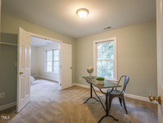 200 Purple Leaf Pl, Carrboro, NC 27510 - photo 13