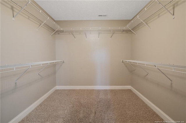 4821 Veasey Mill Dr, Wade, NC 28395 - photo 28