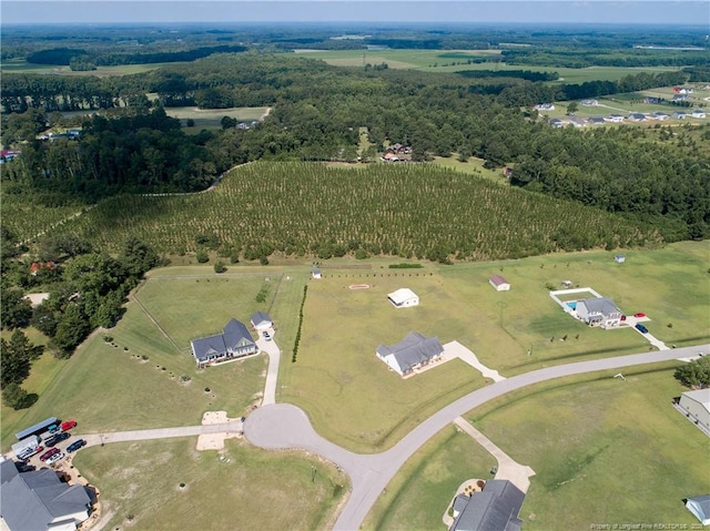 4821 Veasey Mill Dr, Wade, NC 28395 - photo 50