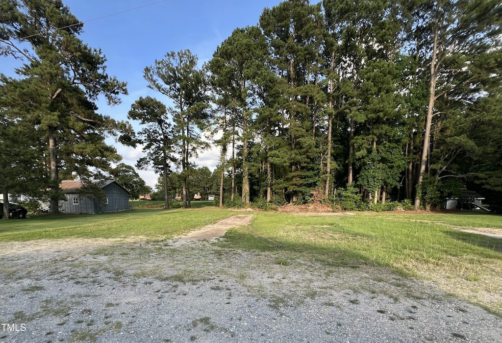 0 New King Rd, Smithfield, NC 27577 - view of grassy yard