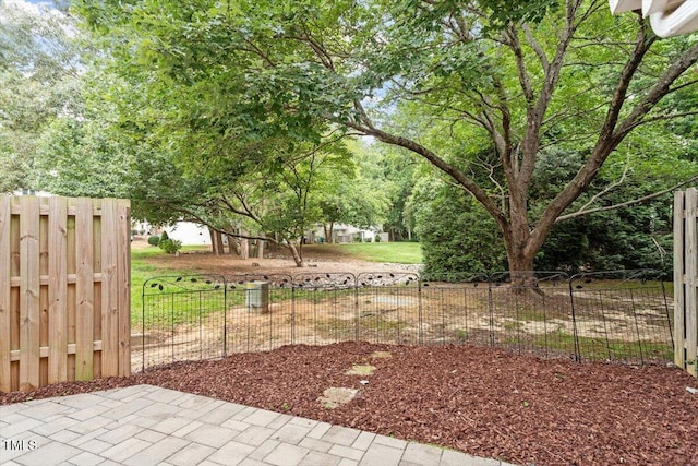 7771 Falcon Rest Cir, Raleigh, NC 27615 - view of yard