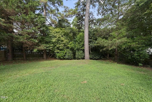 2510 Springhill Ave, Raleigh, NC 27603 - view of yard