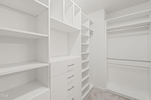 120 Holly Berry Ln, Durham, NC 27703 - walk in closet featuring light colored carpet