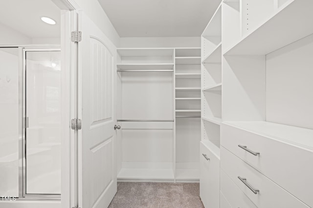 120 Holly Berry Ln, Durham, NC 27703 - spacious closet with light colored carpet