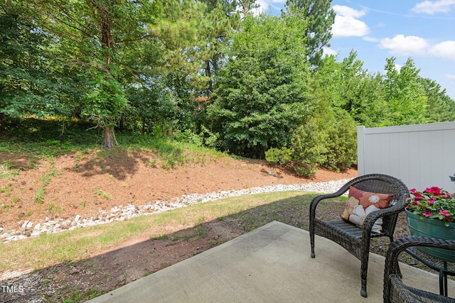 120 Holly Berry Ln, Durham, NC 27703 - view of patio / terrace