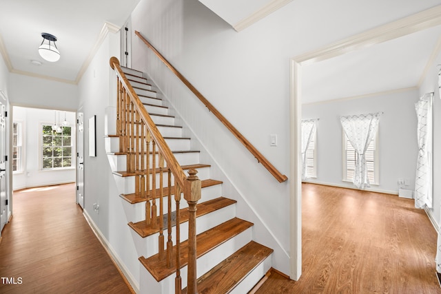5219 Oakbrook Dr, Durham, NC 27713 - photo 22