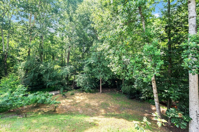 5219 Oakbrook Dr, Durham, NC 27713 - photo 50