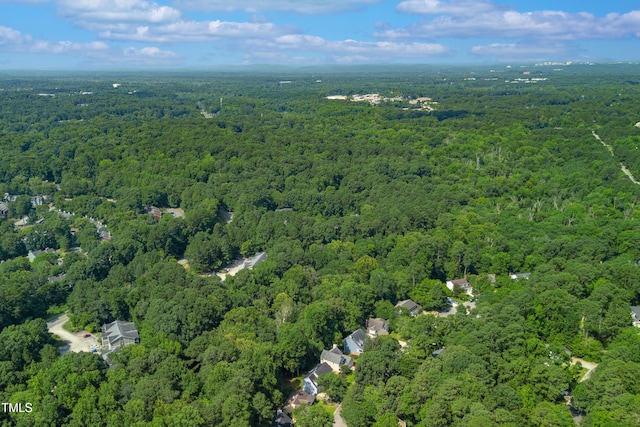 5219 Oakbrook Dr, Durham, NC 27713 - photo 68