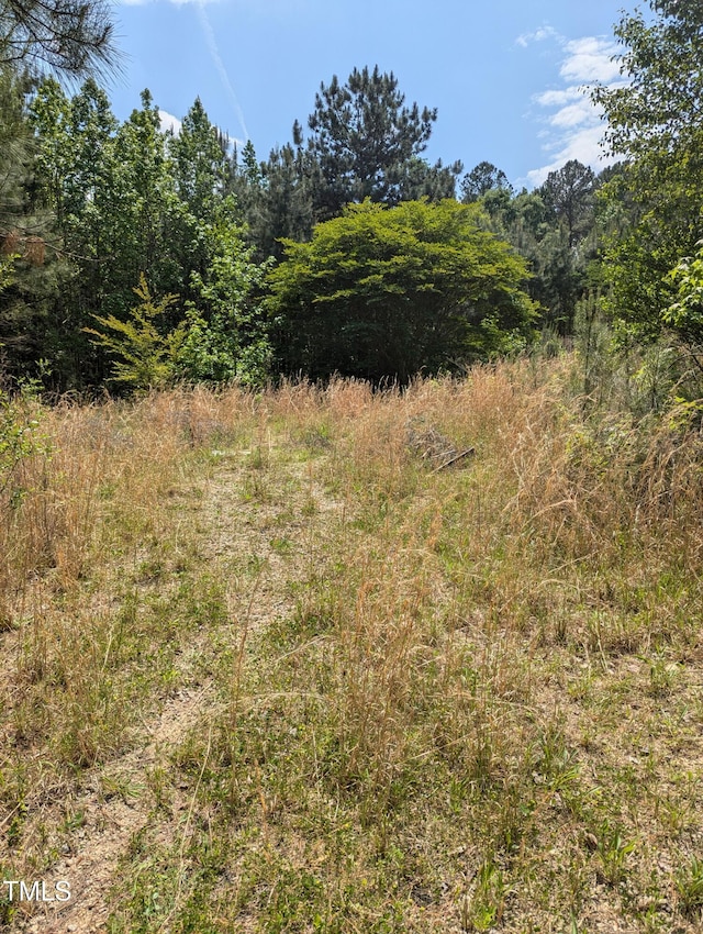 130 Rhett St, Franklinton, NC 27525 - photo 8