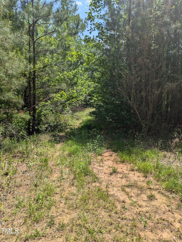 130 Rhett St, Franklinton, NC 27525 - photo 9