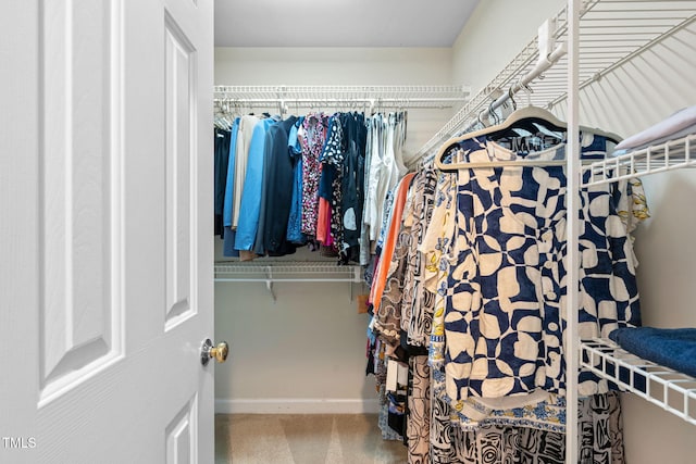 100 Beraneak Ln, Cary, NC 27519 - walk in closet with carpet floors
