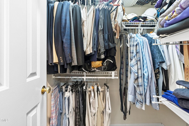 100 Beraneak Ln, Cary, NC 27519 - view of spacious closet