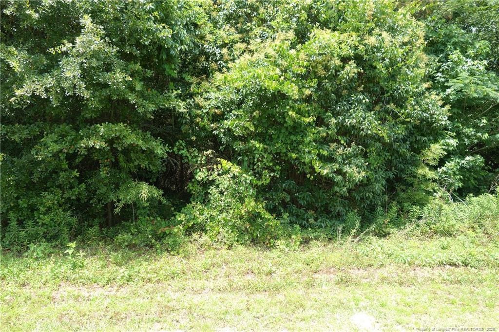 NC-41 Hwy, Fairmont, NC 28340