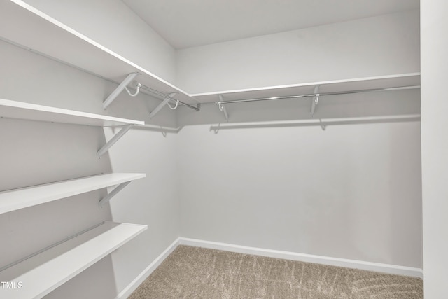 2307 Bethpage Dr, Fuquay Varina, NC 27526 - walk in closet with carpet