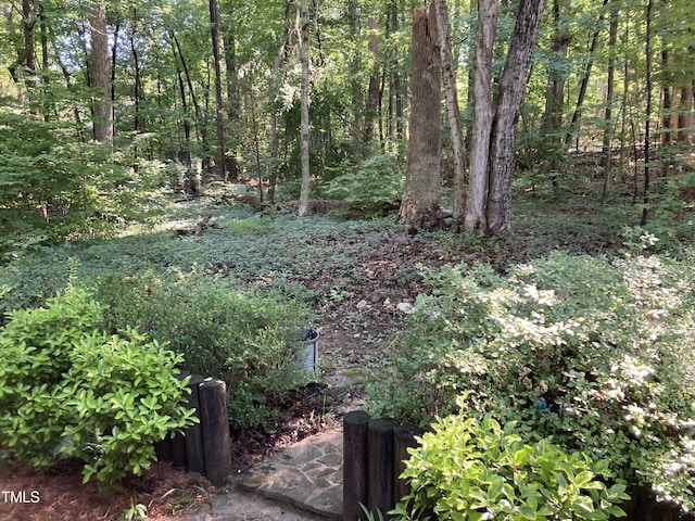 3082 Colony Rd Unit A, Durham, NC 27705 - view of yard featuring a view of trees