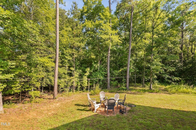 121 Roundrock Ln, Sanford, NC 27330 - view of green lawn with a fire pit