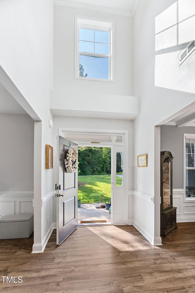 121 Roundrock Ln, Sanford, NC 27330 - entrance foyer with wood finished floors, a high ceiling, plenty of natural light, crown molding, and a wainscoted wall