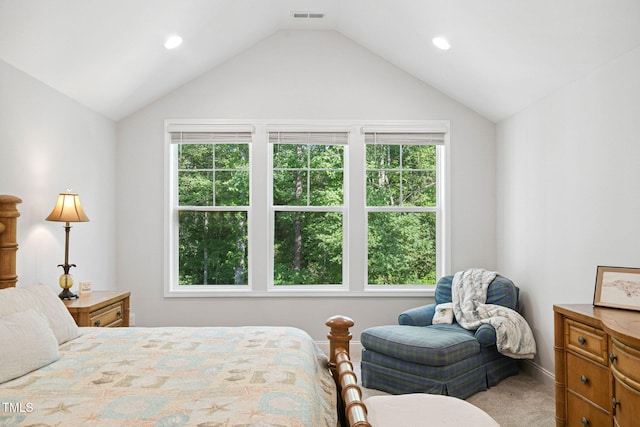 121 Roundrock Ln, Sanford, NC 27330 - carpeted bedroom with vaulted ceiling, multiple windows, and recessed lighting