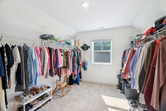 121 Roundrock Ln, Sanford, NC 27330 - spacious closet with lofted ceiling and carpet flooring