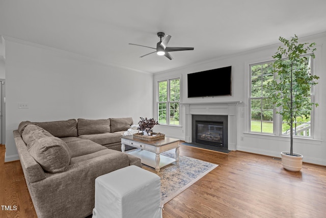 6104 Spicewood Dr, Fuquay Varina, NC 27526 - living room featuring ceiling fan, ornamental molding, wood finished floors, and a fireplace with flush hearth