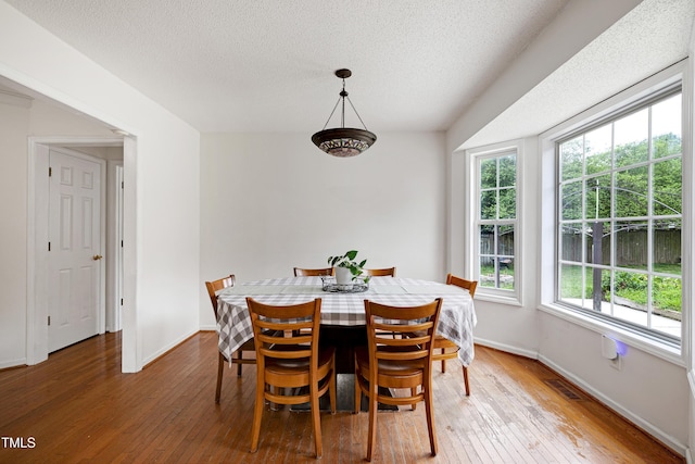 405 E Maple Ave, Holly Springs, NC 27540 - dining space featuring healthy amount of natural light, hardwood / wood-style floors, and a textured ceiling