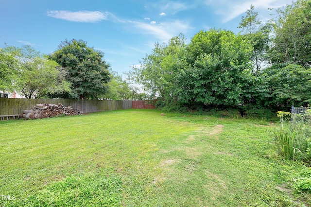 405 E Maple Ave, Holly Springs, NC 27540 - view of yard