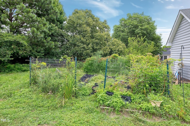 405 E Maple Ave, Holly Springs, NC 27540 - view of yard with a vegetable garden