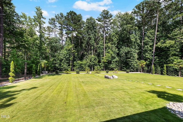 2101 Blue Haven Ct, Wake Forest, NC 27587 - view of yard