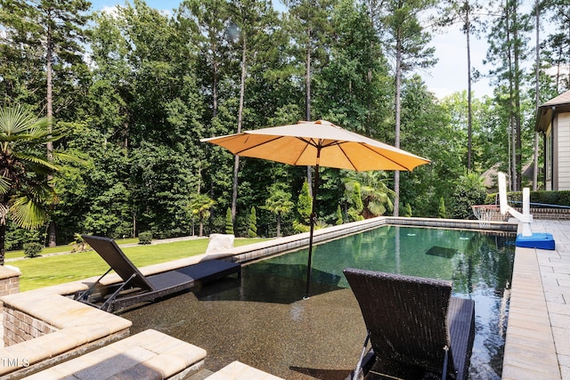 2101 Blue Haven Ct, Wake Forest, NC 27587 - view of swimming pool