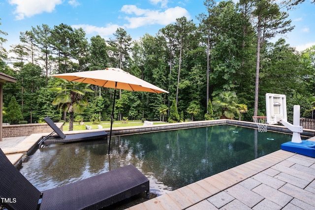 2101 Blue Haven Ct, Wake Forest, NC 27587 - view of outdoor pool