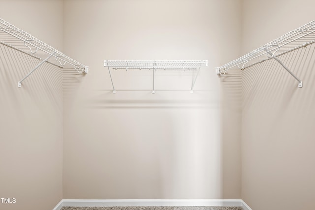 677 Wickham Ridge Rd, Apex, NC 27539 - view of walk in closet