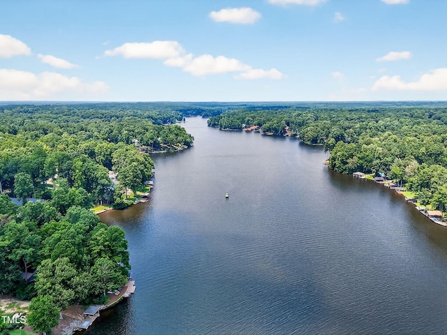 116 Seminole Dr, Louisburg, NC 27549 - aerial view of a large body of water and a heavily wooded area